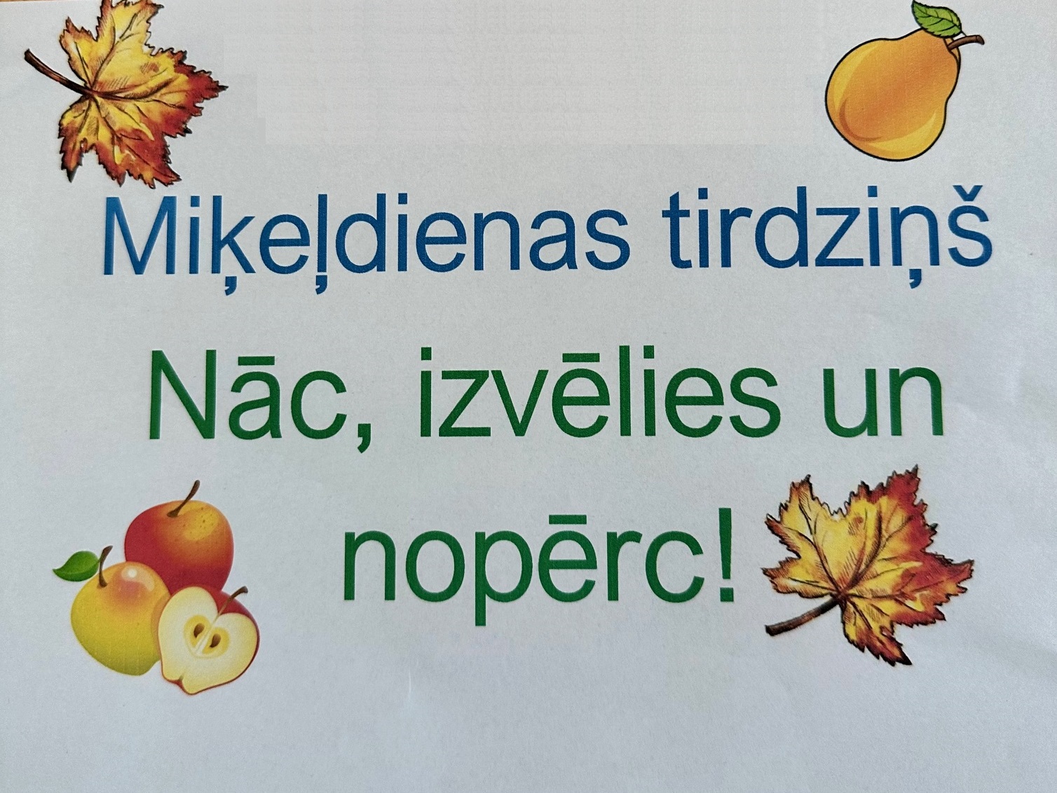 IMG_1256.jpg