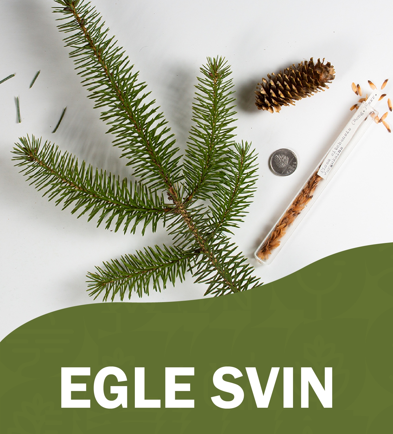 egle_svin_facebook.jpg